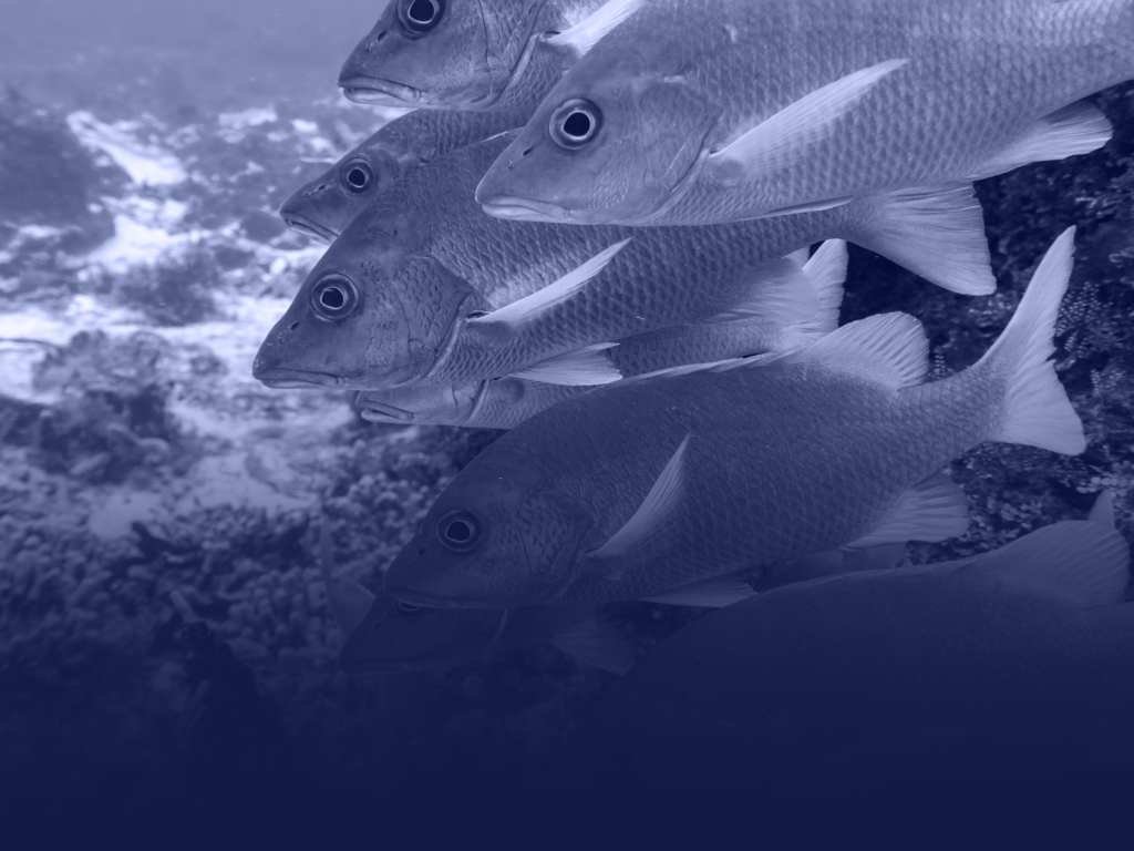 como funciona el marketing externo